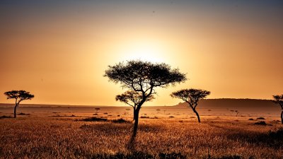 Hoe bereid je je voor op een safari in Afrika?